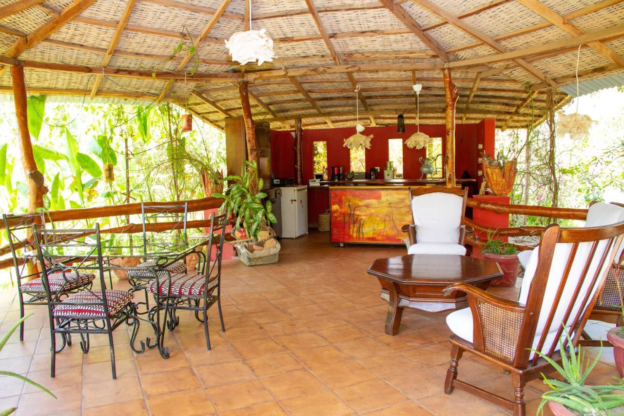 Mama Africa Art Residence & Art Center Gambia Tanji Luaran gambar